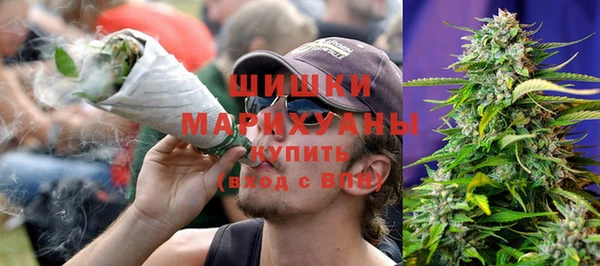 бошки Белокуриха