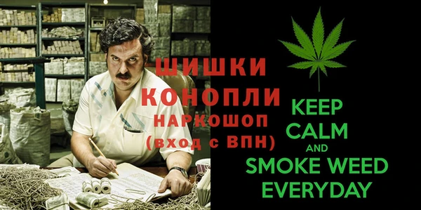 бошки Белокуриха
