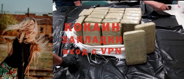 бошки Белокуриха