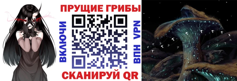 Псилоцибиновые грибы MAGIC MUSHROOMS  мега   Сковородино  как найти наркотики 