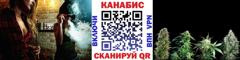 купить  сайты  Сковородино  Конопля семена 